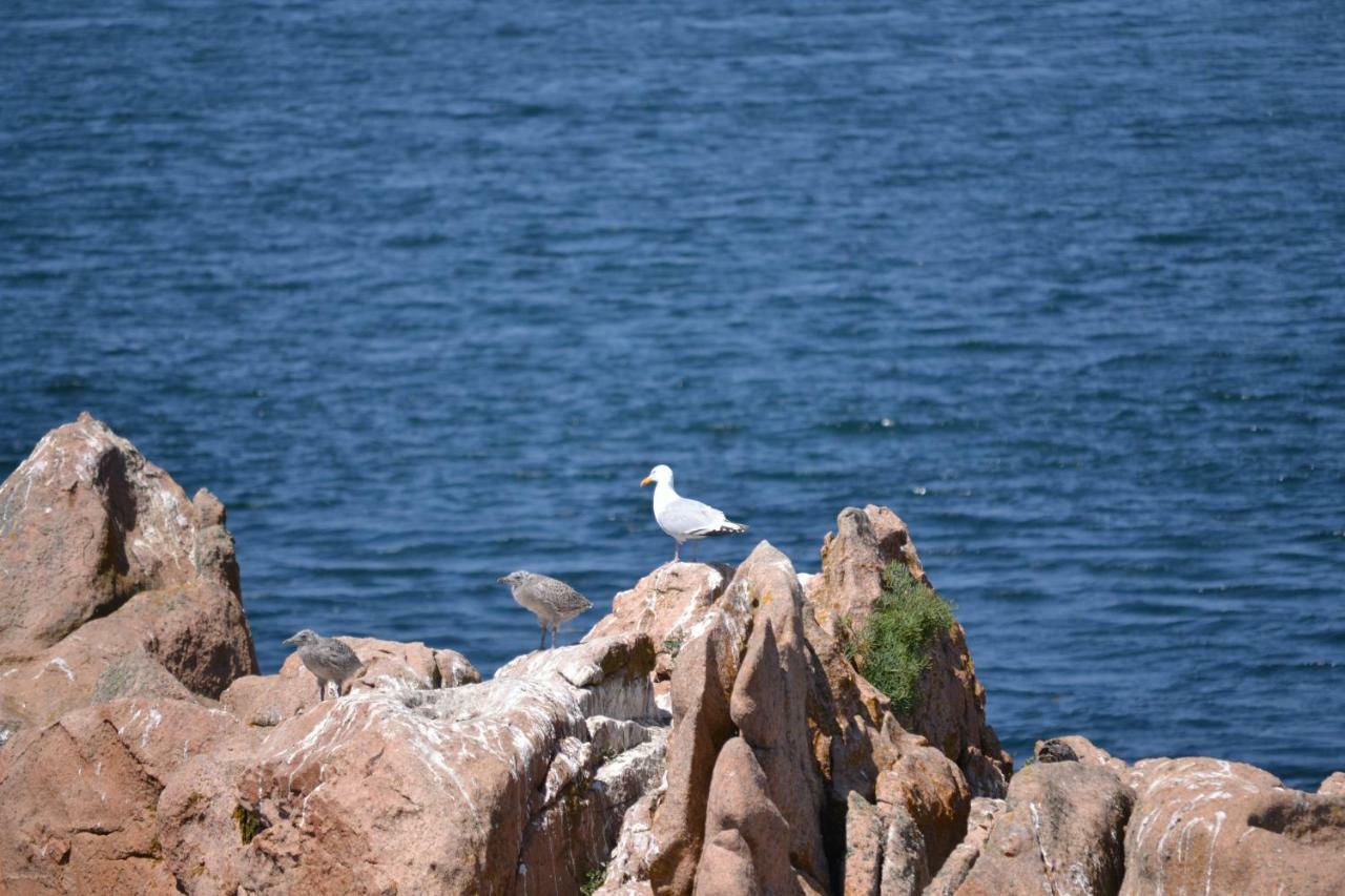 Gite Du Port Sur La Presqu'Ile De Lézardrieux Buitenkant foto